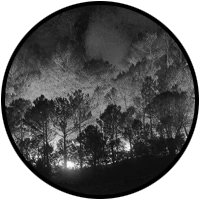 09